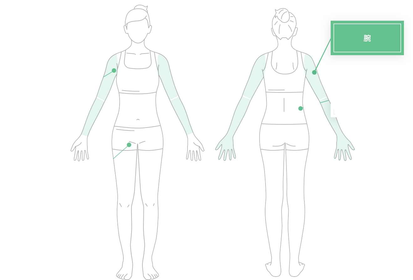 腕